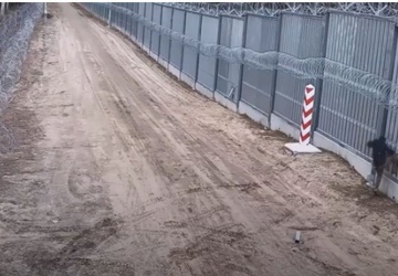 Ukrainiec chciał przejechać strażnika granicznego. Przewoził nielegalnych imigrantów