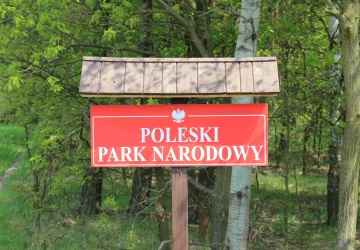 Głębokie zaniepokojenie. Burza po nagłym zwolnieniu dyrektora Poleskiego Parku Narodowego