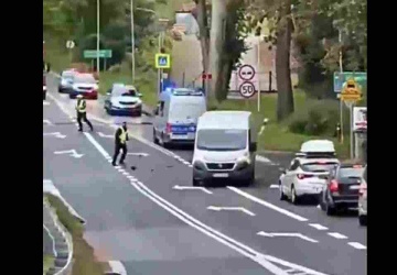 Szalony pościg przez granicę polsko-czeską. Nagranie robi furorę w sieci