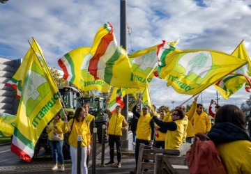Węgierskie organizacje rolnicze odrzucają umowę o wolnym handlu UE z Ukrainą. „Stanowi zagrożenie dla bezpieczeństwa żywności”