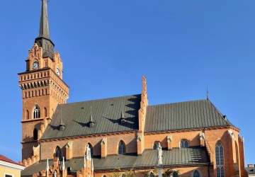 Tajemnicze odkrycie pod tarnowską katedrą. Archeolodzy nie kryli zaskoczenia
