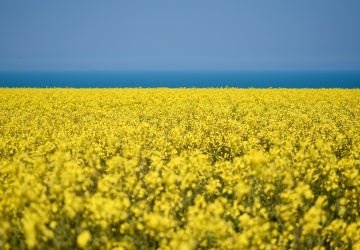 Od dziś obowiązuje liberalizacja handlu UE z Ukrainą. Polska będzie przestrzegała umowy zawartej przez KE