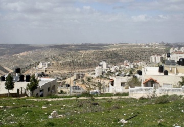 Brutalny atak izraelski osadników na Palestyńczyków podczas zbioru oliwek