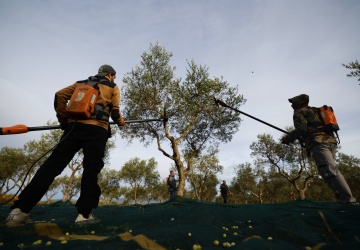 Copa-Cogeca krytycznie o propozycjach KE ws. WPR: Są nie do przyjęcia