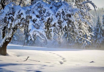 Śnieg zasypie Polskę. Pierwszy atak zimy już za kilka dni