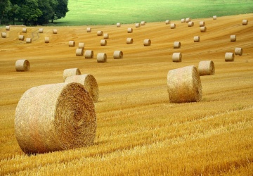 Grupa europosłów złożyła wniosek o opinię TSUE ws. zgodności umowy UE-Mercosur z traktatami