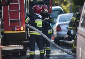 Pożar schroniska dla zwierząt. Bohaterem pies Karol