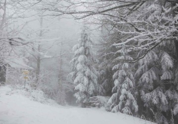 Gdzie spadnie śnieg? IMGW ostrzega