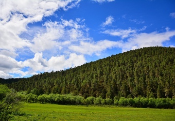 PE za uproszczeniem unijnego prawa dotyczącego wylesiania. Organizacje rolnicze zadowolone