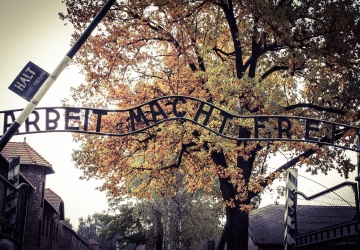 Izraelska gazeta uderza w ambasadora USA i pamięć historyczną. „Argumentacja miałka, operowanie półprawdami”