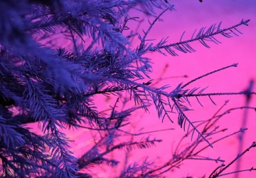 [Tylko u nas] Aleksandra Jakubiak OV: Błogosławieni, którzy doświadczają tęsknoty