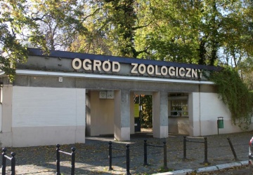 Komunikat poznańskiego zoo. W planach niezwykła inwestycja