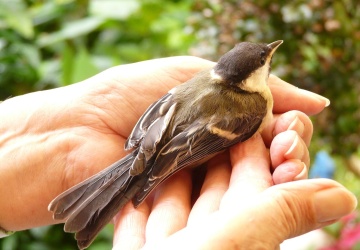 [Tylko u nas] Aleksandra Jakubiak OV: Bolesna sztuka uwalniania