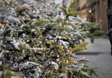 Kiedy przyjdzie biała zima? Prognoza pogody na Święta