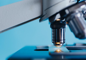 Nowy pasożyt odkryty w Polsce. Naukowcy alarmują