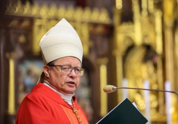 Ryś na Franciszkańskiej