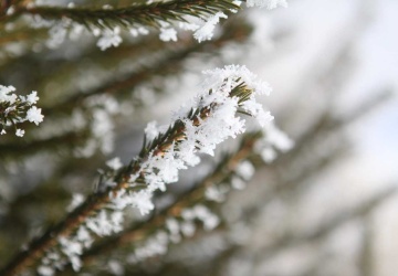 Nowa prognoza pogody na święta. Oto co nas czeka