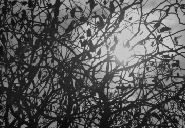 Gdański IPN przypomina Grudzień ’70. Poruszający spot wideo w 55. rocznicę masakry robotników