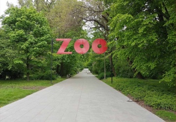 Warszawskie zoo przekazało radosną nowinę