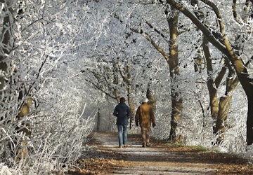 Marznące opady deszczu powodujące gołoledź w 13 województwach. Komunikat IMGW