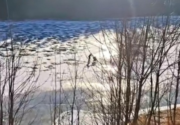 Niepokojące nagranie z Czech. Policja publikuje film ku przestrodze