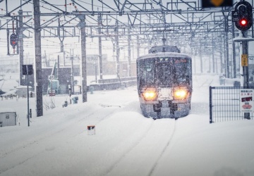 Pociąg „Mazury” utknął w Nidzicy. Oblodzone drzewa runęły na linię trakcyjną
