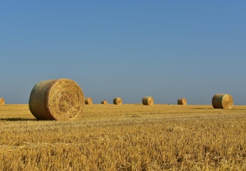 Jan Krzysztof Ardanowski: Żądałem i żądam skierowania sprawy do sądu