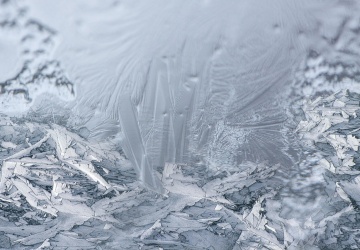 Pies na zamarzniętej rzece. Strażacy użyli drona