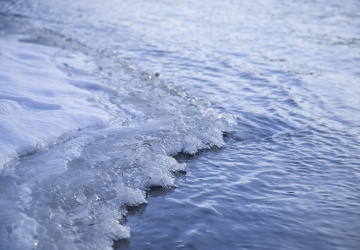 Pies na zamarzniętej rzece. Strażacy użyli drona