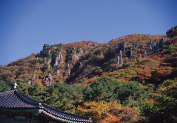 Ta wyspa przeżywa turystyczny boom. Wszystko za sprawą hitu Netflixa