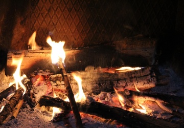 To już prawdziwa plaga. Strażacy biją na alarm