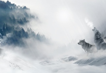 IMGW wydał komunikat. Oto co nas czeka