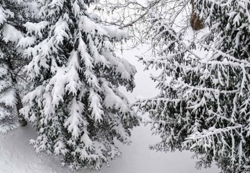 IMGW wydał komunikat. Oto, co nas czeka