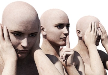 Trzy małpki w Brukseli