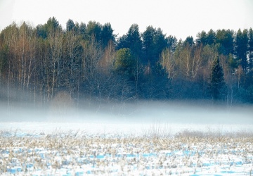 Szok w Kampinosie. Eksperci apelują: nie podchodźcie, nie interweniujcie