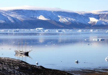 To nagranie to hit sieci. Blitzkrieg Bundeswehry na Grenlandii 