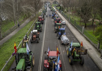 Rolnicy z całej UE jadą do Strasburga
