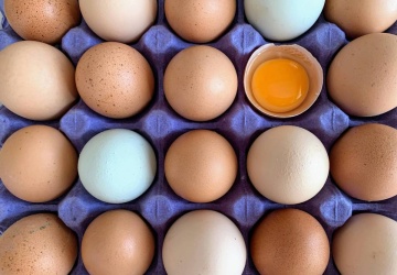 Brazylijskie mięso drobiowe i jaja zwolnione z unijnych kontroli jeszcze przed zawarciem umowy UE-Mercosur