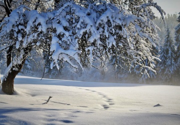 Marcin Bąk: Co dalej z tą pogodą? 