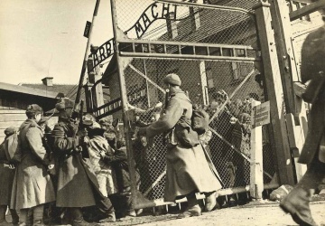 Dziś 81. rocznica wyzwolenia niemieckiego nazistowskiego obozu koncentracyjnego i zagłady Auschwitz-Birkenau