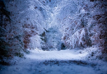 Marcin Bąk: Luty – a więc groźny!
