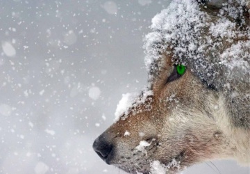 Nowy komunikat IMGW. Oto co nas czeka