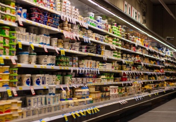 Biedronki, Stokrotki i inne Dino(zaury). O pracy ponad siły w sieciach handlowych w Polsce