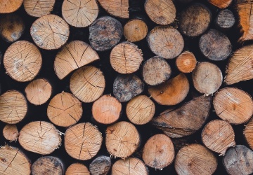 Pieniądze od Lasów Państwowych trafią do NFOŚiGW? Solidarność protestuje przeciwko kolejnej daninie