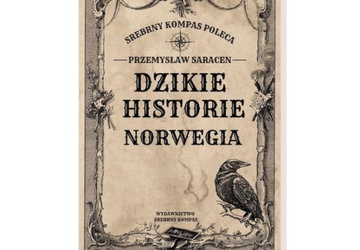 Norwegia bez lukru. Emigracja bez mitów i patosu. Książka Dzikie historie: Norwegia