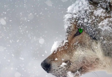 Nowy komunikat IMGW. Oto co nas czeka w najbliższych dniach