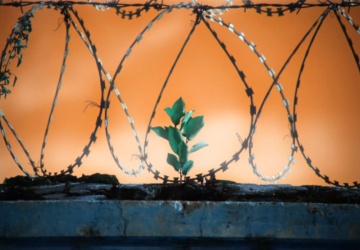 Tylko Solidarność powstrzyma dryf ku zamordyzmowi