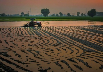 Bogdan Rzońca: W Zielony Ład wpisana jest likwidacja rolnictwa UE
