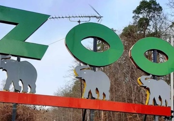 Gdańskie zoo przekazało radosną nowinę