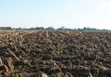Ekspert: Musimy przygotować krajowy plan bezpieczeństwa nawozowego
